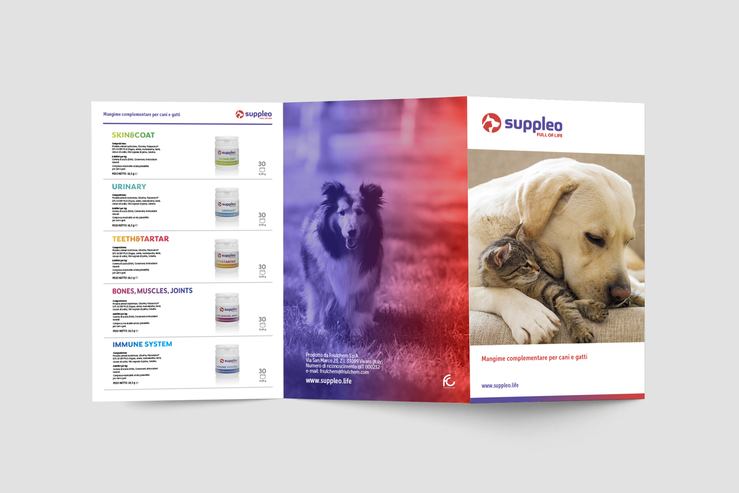 Suppleo Leaflet