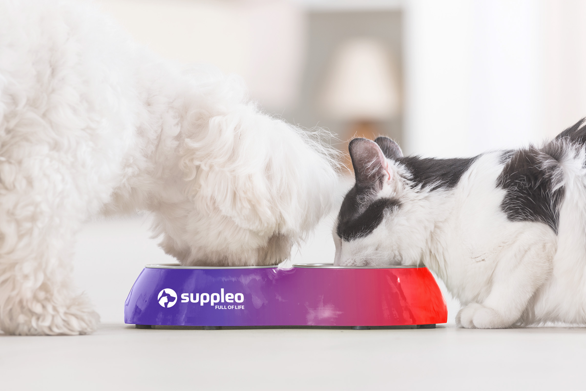 Suppleo Gadget