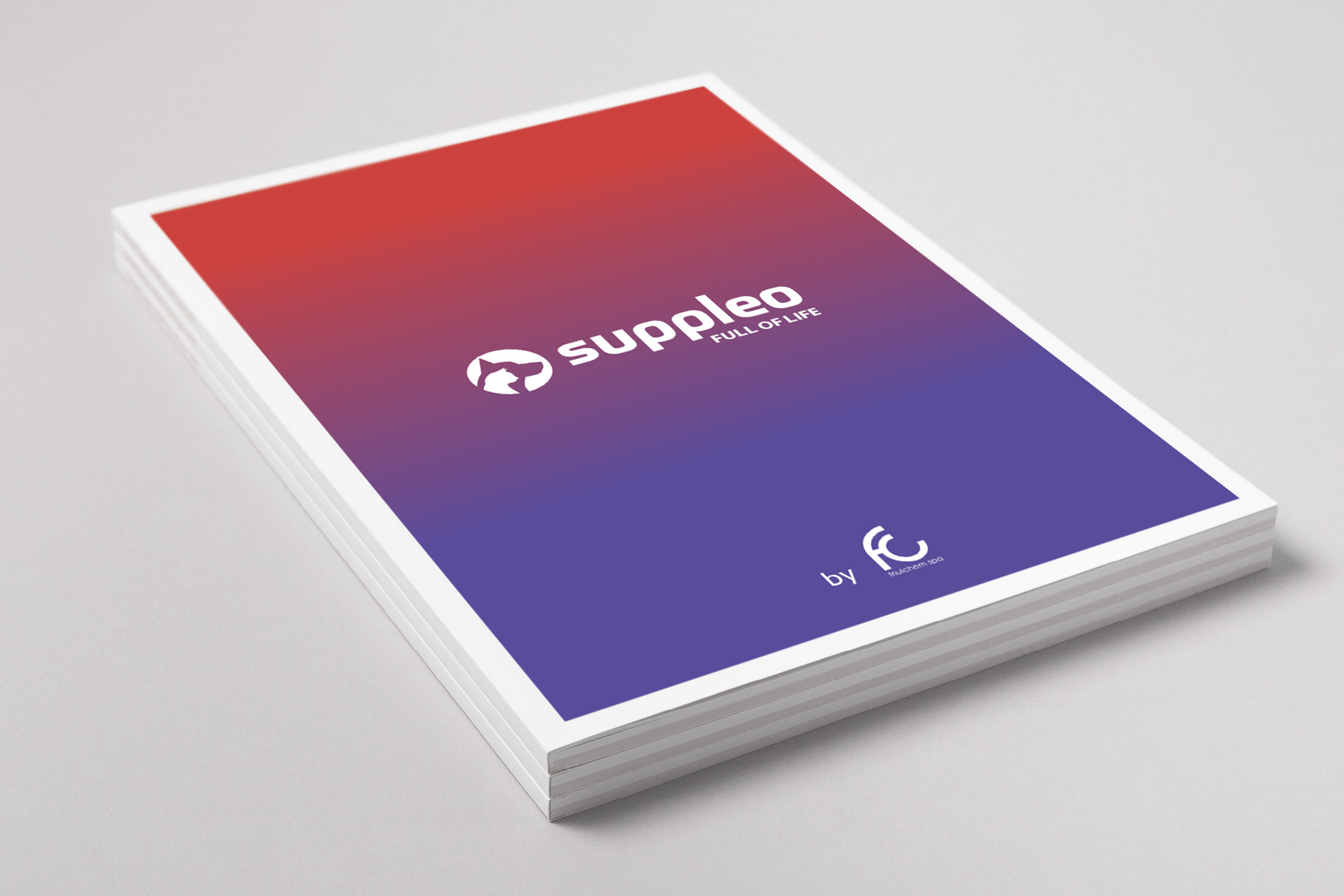 Suppleo Block